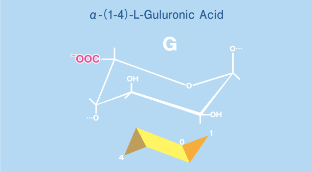 α-(1-4)-L-Guluronic Acid