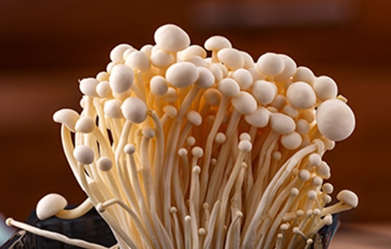 Hyphal activity of Enokidake mushrooms