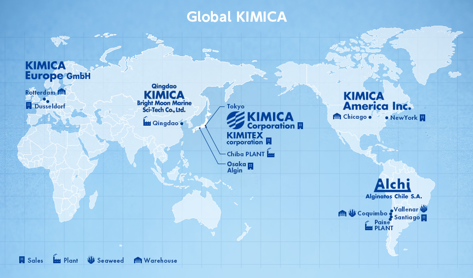 GLOBAL KIMICA