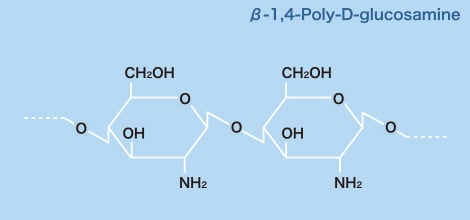 β-1,4-poly-D-glucosamine